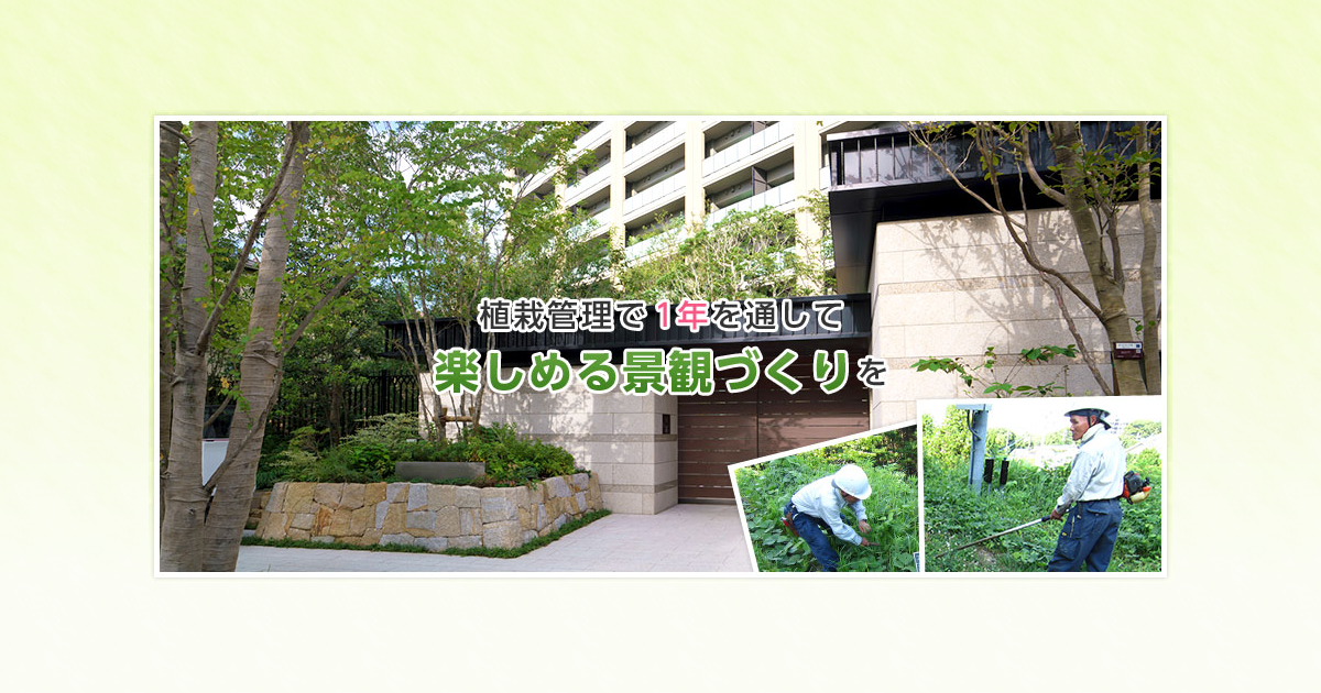 造園植栽術 植木の植栽、個人邸の植栽｜造園業 彩園'S 千葉県